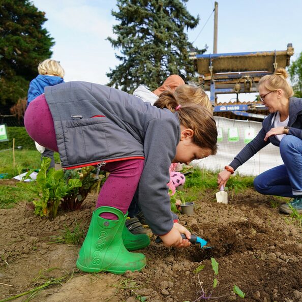Bei AckerRacker greifen die Kinder selbst zu und pflanzen ihr eigenes Gemüse an.