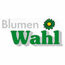 Blumen Wahl Logo