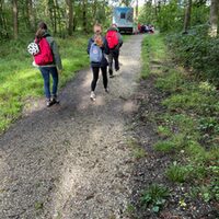 Exkursion in den Königsdorfer Wald