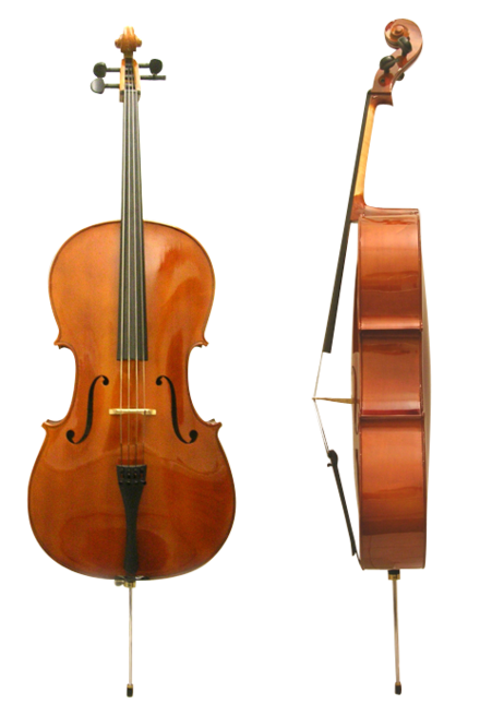 Das Violoncello auf weißem Hintergrund